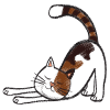cat icon