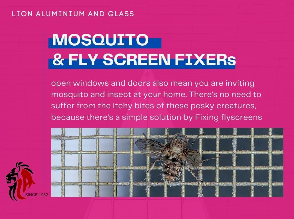 fly screen repair dubai