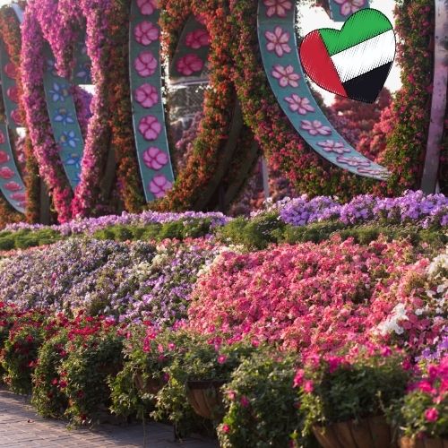 Dubai Miracle Garden Burj al arab