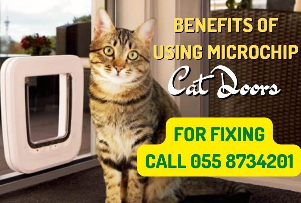 Benefits of Using Microchip CAT DOOR Benefits of Using Microchip CAT DOOR
