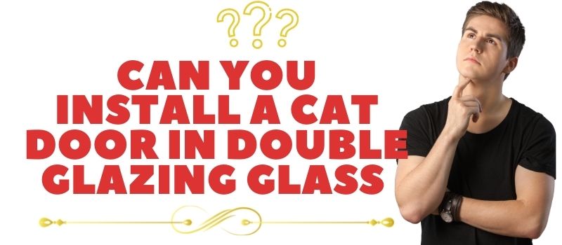 Cat door in double glazed door Cat door in double glazed door
