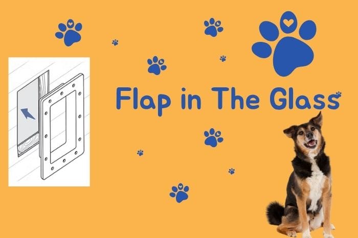 Doggy Flap in the glass Sharjah